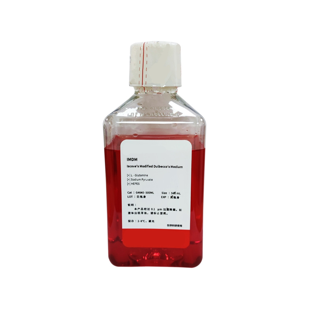 IMDM (Iscove's Modified Dulbecco's Medium)